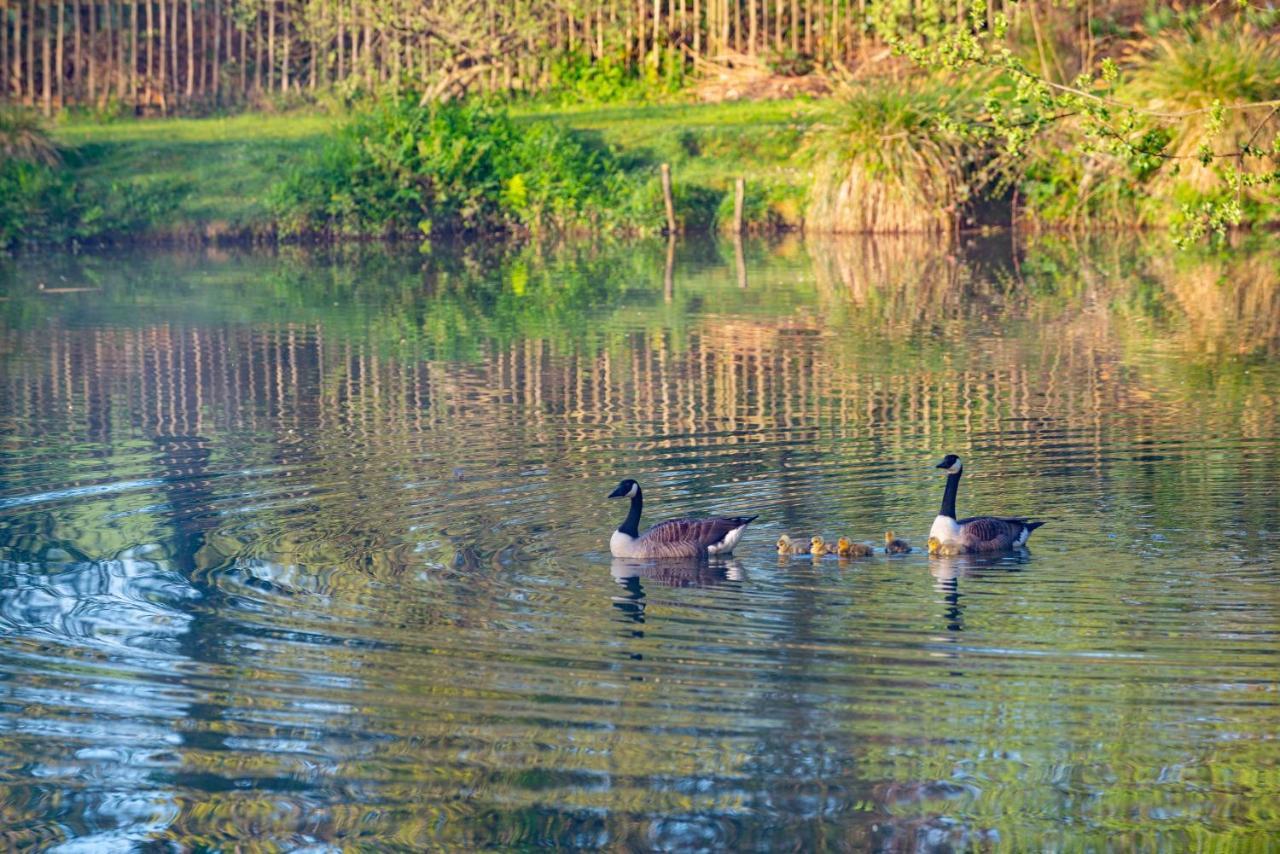 Rosefinch Sleeps 2 Persons-Private Hot Tub-Tranquil Holiday Away From It All Yet Not Far From St Austell- The Holiday Home Has One Bedroom, Living And Dining Area, Equipped Kitchen-Decking-Outdoor Furniture-Fishing Lakes-Non Pet Unit Extérieur photo